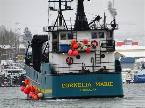 Apr 12, 2023 · No, the Cornelia Marie is no longer featured on Deadliest Catch. The turquoise-colored fishing vessel first appeared on the Discovery show in season 2 with Phil Harris as captain. Phil Harris was joined by Murray Gamrath and Derrick Ray on the boat from seasons 2-6. Season 7 saw Derrick joined by Tony Lara. . 