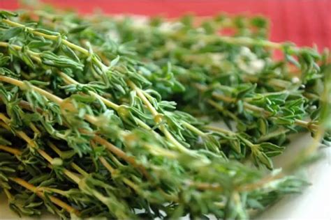 Why should women avoid using thyme during pregnancy?