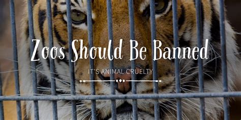 Why should zoos be banned. First, not all zoos are created equal. While it is easy to imagine animal ethics as a binary of evil and moral, zoos can vary widely on how they treat their animals, how … 