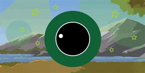 Why the Green Light is the Goal on Reflex Reflex