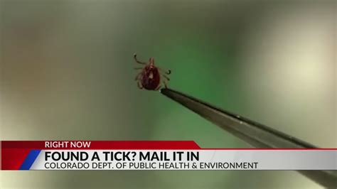 Why the health department wants you to mail them ticks