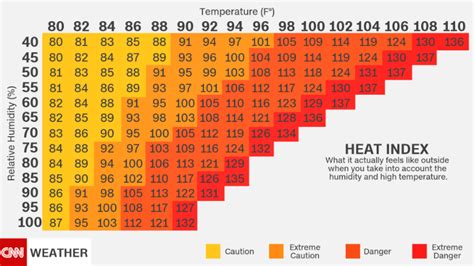 Why the heat index matters more than the temperature in a heat wave