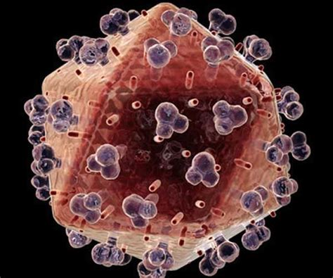 Why the human body cannot fight HIV infection -- ScienceDaily