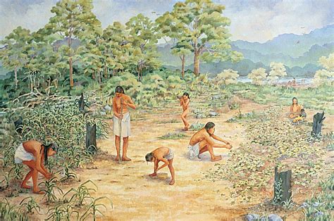 Why was corn an important crop to early peoples. Things To Know About Why was corn an important crop to early peoples. 