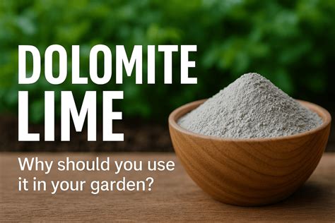 Why would dolomite be used instead of lime