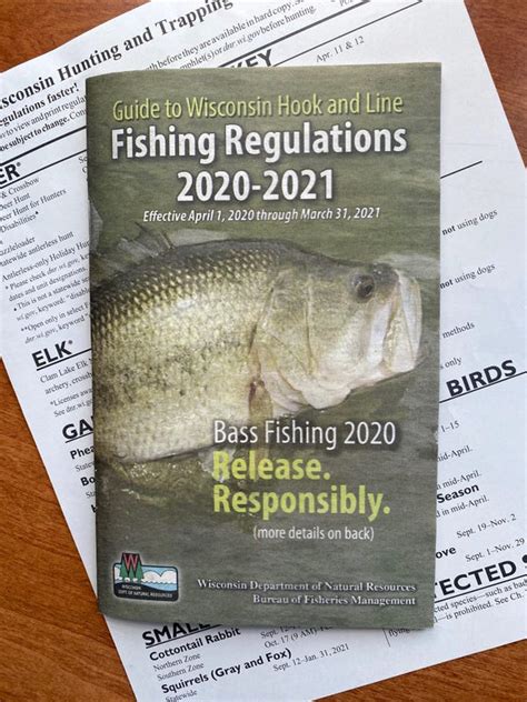 Wi fishing regulations. Yellow perch. Jig for perch at 35 feet. For bait, try small, live minnows or weighted ice flies and insect larvae. (Minnows are illegal on some lakes -- check the fishing regulations for a summary of Wisconsin fishing laws and fishing regulations. 