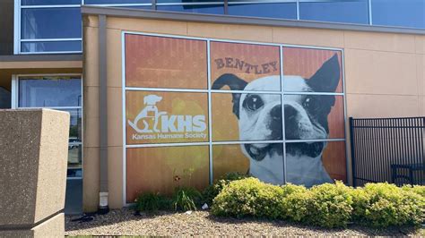 Wichita ks humane society. Things To Know About Wichita ks humane society. 