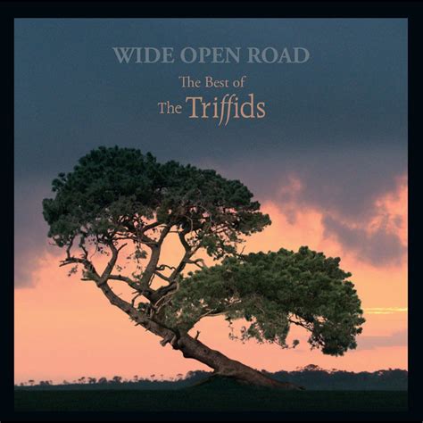 Wide Open Road - The Best of The Triffids - Apple Music