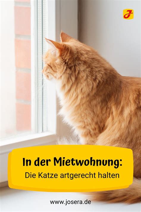 Wie viele katzen in mietwohnung erlaubt