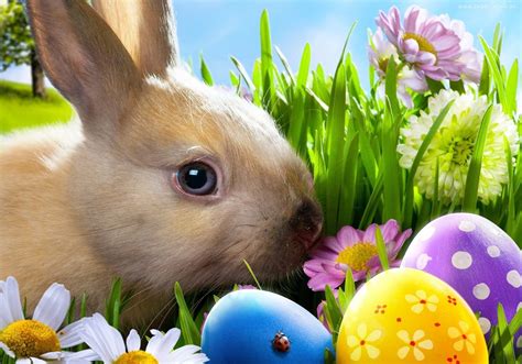 Wielkanoc - Na Pulpit