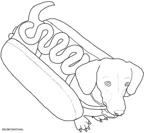 Caterpillar Coloring Images
