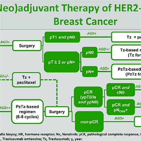 Wife recently diagnosed with HER 2 positive breast cancer