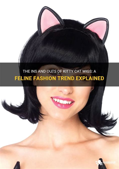 Wig Cat: The Feline Fashion Revolution