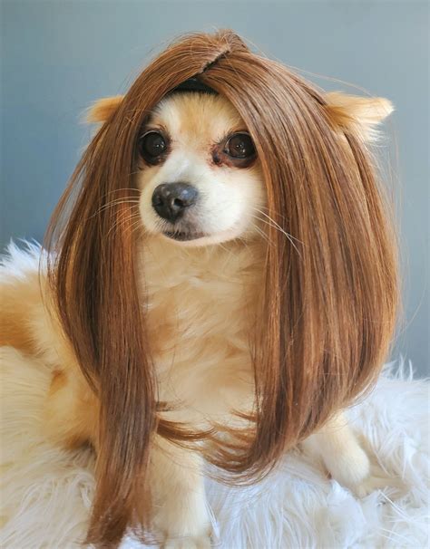 4. 5. Wigs. Pet Clothing. Pet Bows & Hair Accessories. Pet Collar & Leash Sets. Pet Jackets & Hoodies. Here is a selection of four-star and five-star reviews from customers who were delighted with the products they found in this category. Check out our dog wigs for large dogs selection for the very best in unique or custom, handmade pieces from ... 