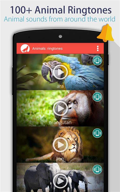 Wild Animal Ringtones App APK Download for Android 