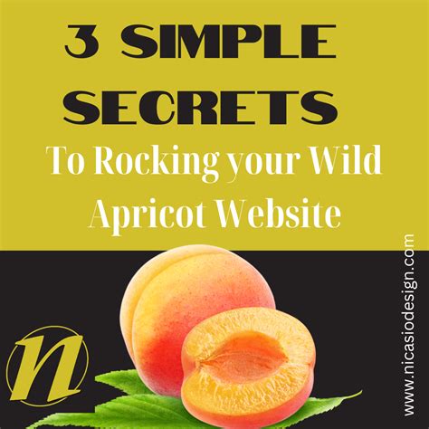 Wild Apricot Website Templates