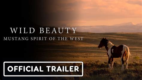 Wild Beauty: Mustang Spirit of the West - Official Trailer (2024 ...