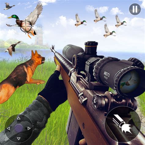 Wild Bird Shooting Hunter Game APK Download for Android 