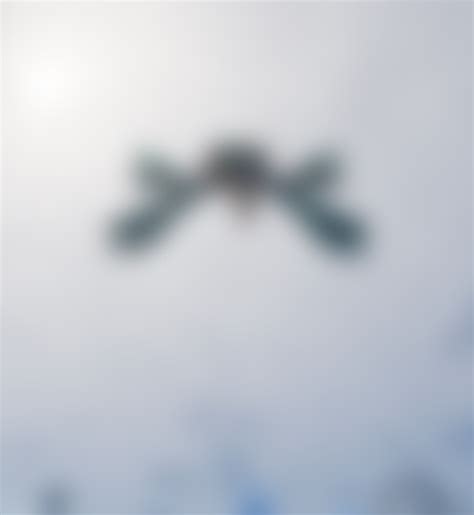 Wild Blood exclusive content on Boosty. 