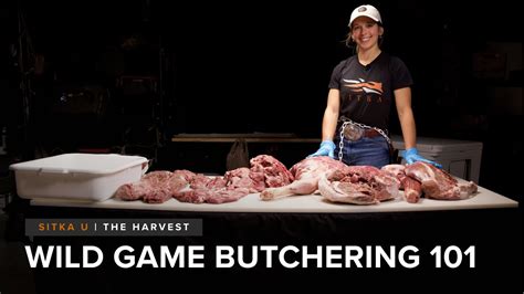 Wild Game Processing YouTube