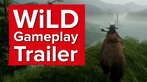 Wild Game YouTube