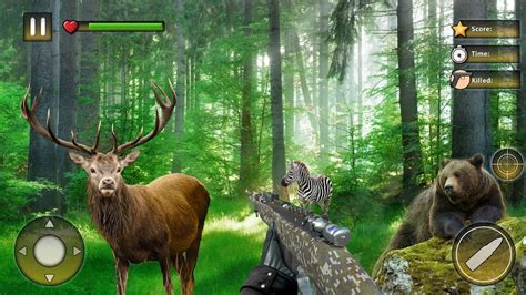 Wild Hunter Animal Hunt Games APK Download for Android 