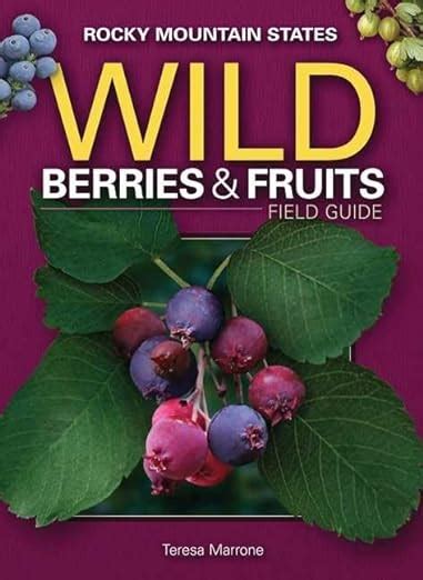 Wild berries fruits field guide of the rocky mountain states wild berries fruits identification guides. - A yummy mummys guide to pregnancy written by a first time mum.