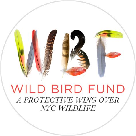 Wild bird fund. UPPER WEST SIDE -- The Wild Bird Fund is New York City's one and only wildlife rehabilitation center. "Our motto is a protective wing over New York City's wildlife," said Rita McMahon, Director ... 