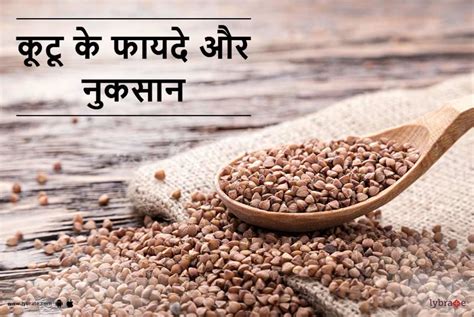 Wild buckwheat- Meaning in Hindi - HinKhoj English Hindi …