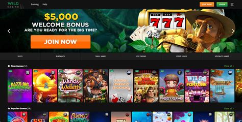 Wild casino