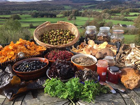 Wild foods. Foraging. Scotland’s woodlands, hedgerows, moorland and seashores hold an abundance of delicious and nutritious wild food that awaits your discovery. Once a means of seasonal sustenance, foraging is enjoying a revival among people keen to eat fresh, seasonal and local food. More and more people are keen to reconnect with the … 
