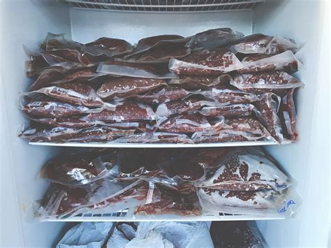 Wild game processing