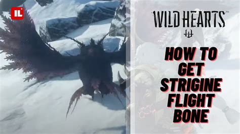 Wild Hearts Strigine Flight Bone Locations video guide shows you How to Get Strigine Flight Bone, an upgrade material available from one source only.🔔 Subsc.... 