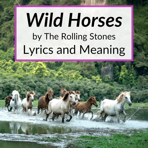Wild horses song. Things To Know About Wild horses song. 