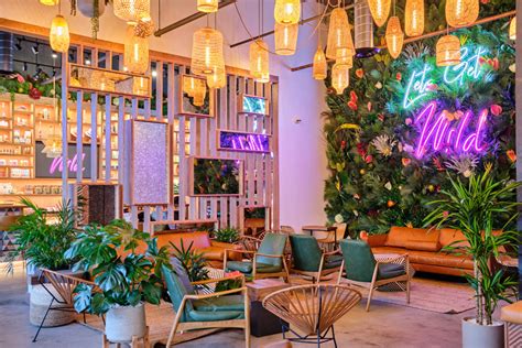 Wild houston. Feb 25, 2022 · Wild, 2121 N. Shepherd, opened February 21 in the Heights. The Bali-inspired lounge is the first in Texas to offer hemp-infused products paired with specialty cocktails and coffee drinks. The new ... 