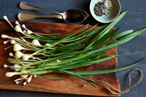 Wild onions are a type of onion that is not as pungent as regular onions, and they have a more subtle flavor. This makes them ideal for use in bread recipes. Yields 1 Serving Quarter (0.25 Servings) Half (0.5 Servings) Default (1 Serving) Double (2 Servings) Triple (3 Servings) Prep Time 5 mins Cook Time 1 hr Total Time 1 hr 5 mins. 