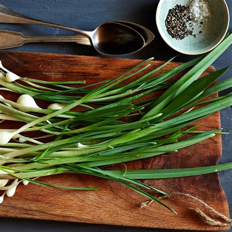 Wild onion recipes. Dissolve the kosher salt into 5 cups of water. Soak the green onions in the water for 1 hour. Meanwhile, bring the other cup of water to a boil and whisk in the rice flour. Turn off the heat and keep stirring until the flour is totally incorporated into the water. Let this cool while the onions soak. 