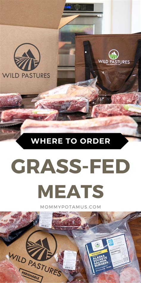 Wild pastures review. Wild Pastures is a subscription service that delivers grass-fed, pasture-raised meat to your door. Choose from a variety of plans and customize your box with the cuts you love. Join today and get exclusive discounts, free meat, and more! 