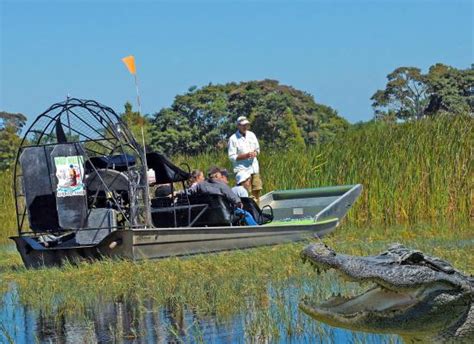 Top 10 Best Airboat Swamp Tours Near Kissimmee, Florida. 1. Wild Willy’s Airboat Tours. “Overall I would recommend Wild Willy's airboat tours to anyone looking to take in the beautiful...” more. 2. Boggy Creek Airboat Adventures. “My party of three opted for a private airboat tour. Depending on the time of year the airboat ride .... 
