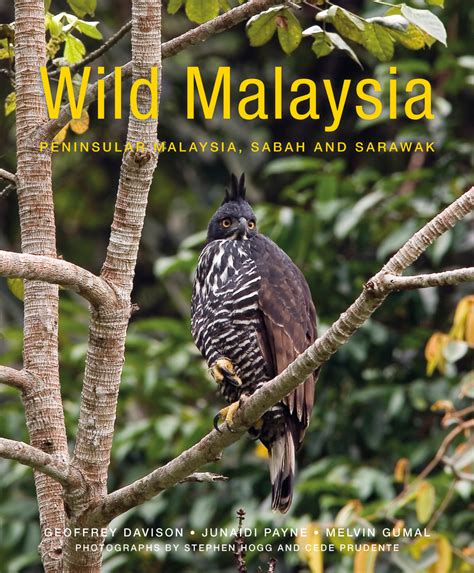 Download Wild Malaysia The Wildlife Scenery And Biodiversity Of Peninsular Malaysia Sabah And Sarawak By Geoffrey Davison