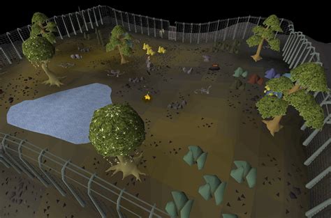 Agility info. Rocks are an Agility shortcut that allow the player to go between the Feldip Hills Hunter Area and the Corsair Cove Resource Area. The player requires 30 Agility, as well as the completion of Dragon Slayer I, to use this shortcut. You must talk to Haris to gain access to the resource area before you can use the shortcut.. 