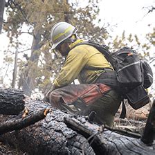 Wildfire Tipsheet