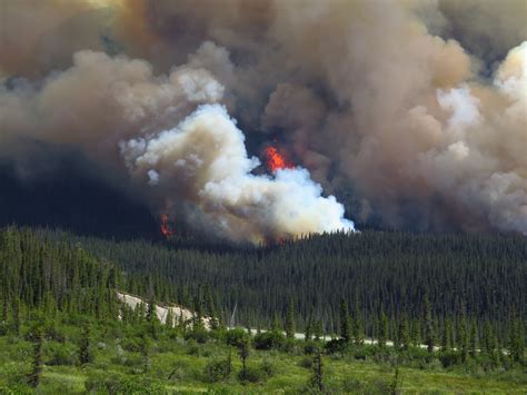 Wildfire battles continue as heat, air quality alerts affect most of Canada