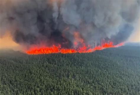 Wildfire triggers evacuation order for Tumbler Ridge, B.C.