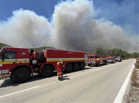 Wildfires: EU provides crucial assistance to the Mediterranean region
