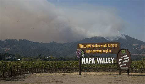 Wildfires can make your California red taste like an ashtray. These scientists want to stop that