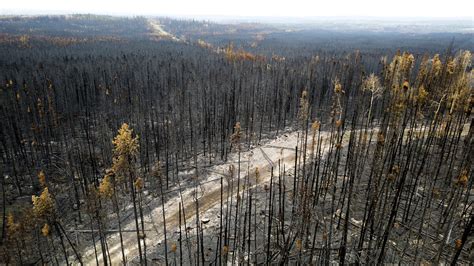 Wildfires have burned a record amount of area in the Canadian province of British Columbia
