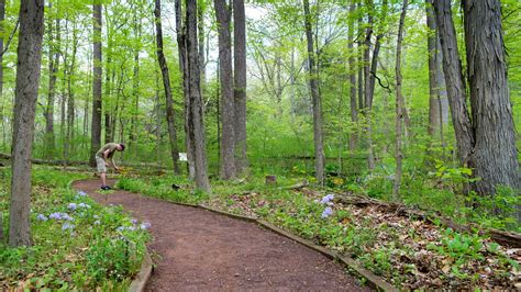 Wildflower preserve pa. LANCASTER, Pa. — Ninety-two acres of land formerly owned by PPL and Talen Energy, Shenks Wildflower Preserve houses dozens of wildflower and animal species throughout the year in Conestoga Township. 