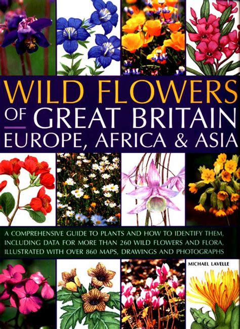 Wildflowers of great britain europe africa asia a comprehensive encyclopedia and guide to the plant diversity. - Kunstsammlung des herrn eugen v. wassermann, berlin.