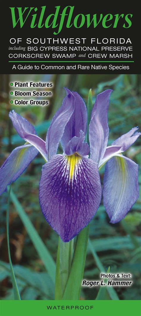 Wildflowers of southwest florida including big cypress np corkscrew swamp and crew marsh a guide to common and rare. - Patients guide to retinal and optic nerve stem cell surgery.